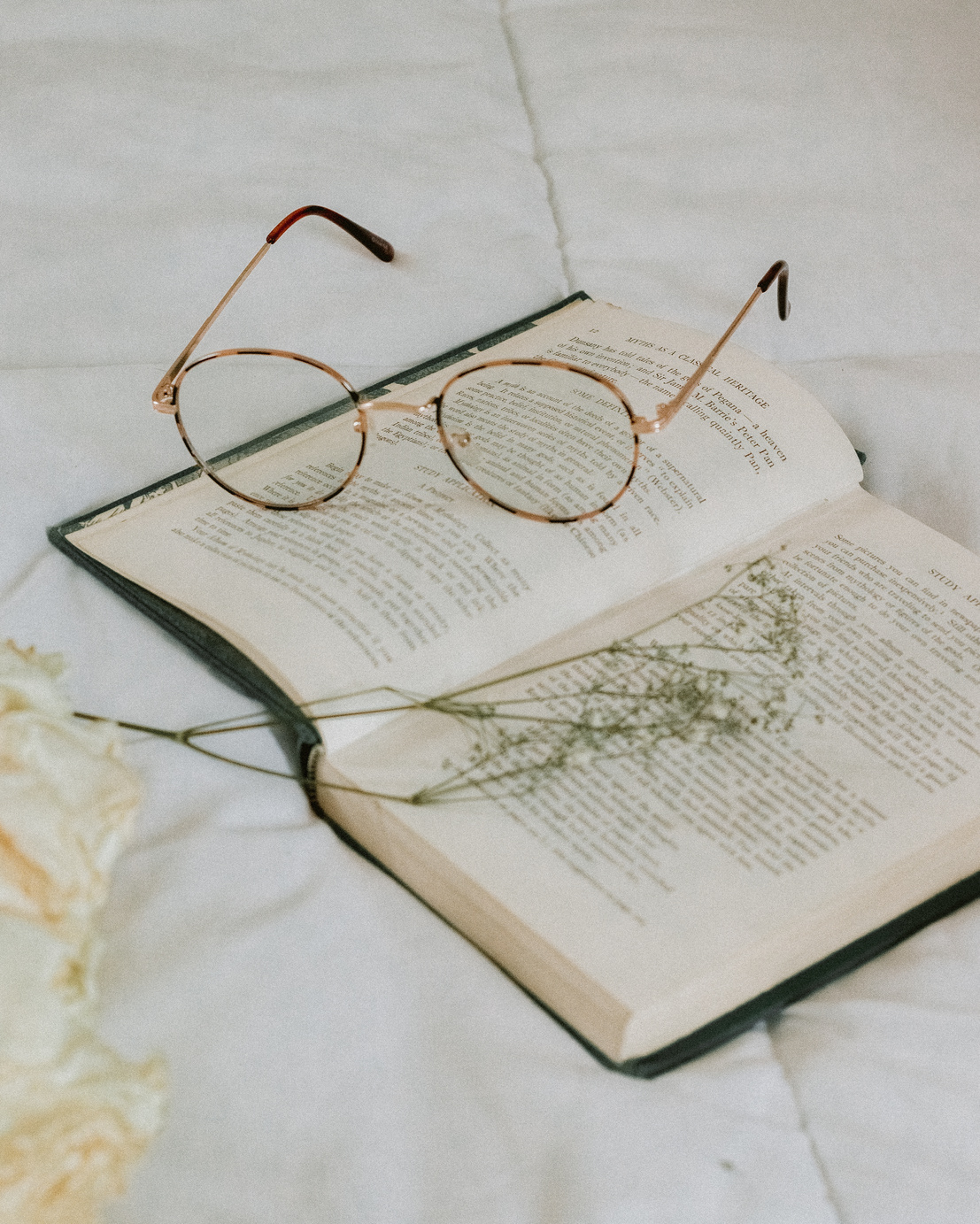 Eyeglasses on an Open Book 